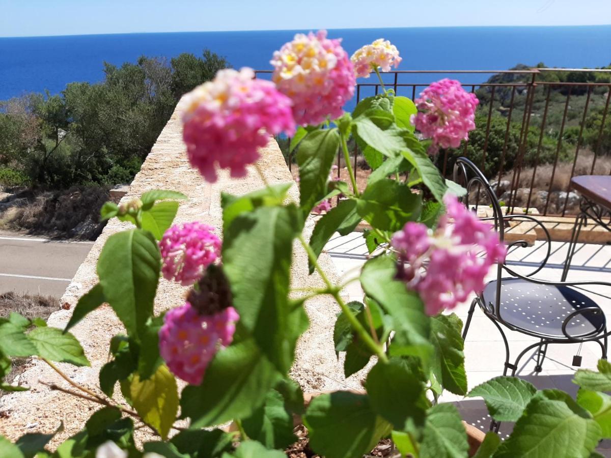 Villetta Cipolliane Santa Maria di Leuca Exterior photo
